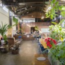 디스트릭트커피 이미지