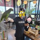 카페오늘 이미지