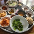 관문손칼국수 | 백반기행 보리밥 오색빛깔 칼국수 맛의관문 진세연의 문경밥상 식당 정보