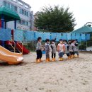 증안초교 병설유치원 이미지