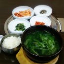 착한 다슬기 이미지