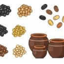 돌콩푸드 이미지