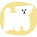 펫살롱 이미지