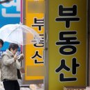 수정공인중개사사무소 네이버블로그