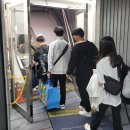 [미네르바에듀] 2024 대한민국 로봇봉사단 필리핀 세부 해외봉사활동 1주차 후기
