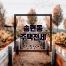 송경종합시장 이미지