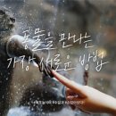 애니멀타임 이미지