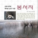 [충남] 홍성/봉서지 이미지