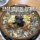 석정삼계탕 | 경기도 안성 맛집 :: 석정 능이 삼계탕 백숙 찐 후기