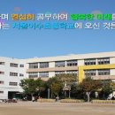 서울이수초등학교 이미지
