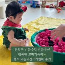 행꼬(행복한 꼬마 거북이) | 관악구 방문수업 방문문센 행꼬 행복한꼬마거북이 3개월 내돈내산 후기