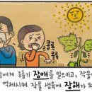 [예쁜 말 바른 말] [242] '장애'와 '장해' 이미지