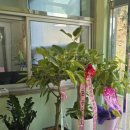 광영 골프연습장 이미지