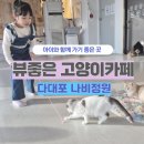 부산고양이까페나비정원
