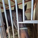 부마목장 이미지