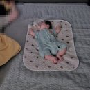 슈퍼세탁맨 | 아기랑 바닥생활 결정, 탑토퍼로 정착한 찐후기 (3주사용 후기)