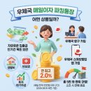 제주돌체 | 돌체구스토 네오 커피머신 추천 이유 3가지와 실제 사용 반응 후기