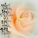 라스페란자 이미지