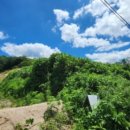 양호2-2교 이미지