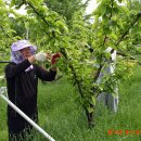 키다리농장 이미지