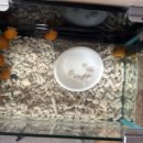 애플여관 이미지