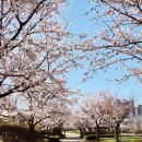 건강실버체조교실 | 건강보험공단 건강100세운동교실 실버체조 스카프 신체활동