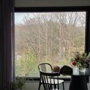 신바람 할인매장 | 남사화훼단지 방문 후기(주차,가격,추천코스) 한플라워아울렛,남사화훼집화장