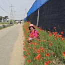 경기둘레길 안성43코스 이미지