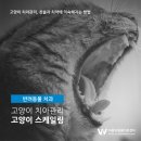 더블유 건강관리 센터 이미지