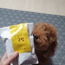 멍멍식탁 이미지