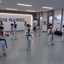 용인대 열정 태권도장 이미지