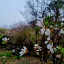 안양시부흥종합사회복지관 | 안양시부흥종합사회복지관