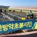 한방농장 이미지