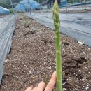 경천 농장 이미지