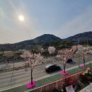 포즈커피 네이버블로그