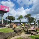 에코승마아카데미 이미지