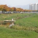 안산천 이미지