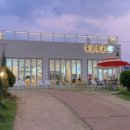 몽글몽글애견유치원 이미지