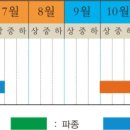 제일종묘상