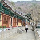 소원 들어주는 절, 청도 운문사 사리암 후기