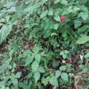 (주)심산 이미지
