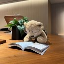 백담골풍경노래연습장장 | [강원도/정선] 파크로쉬 리조트