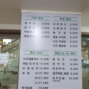 국수와낙지비빔밥 네이버블로그