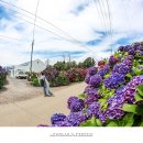 안성리-9 이미지