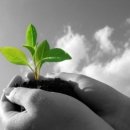 그린워시 이미지