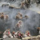 유진여관 이미지