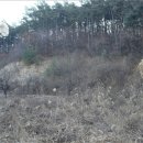 안성시개산보건진료소 네이버블로그