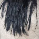 샴푸헤어 | 손상모에 좋은 HAU 망고샴푸 헤어세럼 후기 향좋고 보습만족