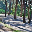 섬지캠핑장 이미지