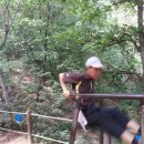 번개약수터 이미지